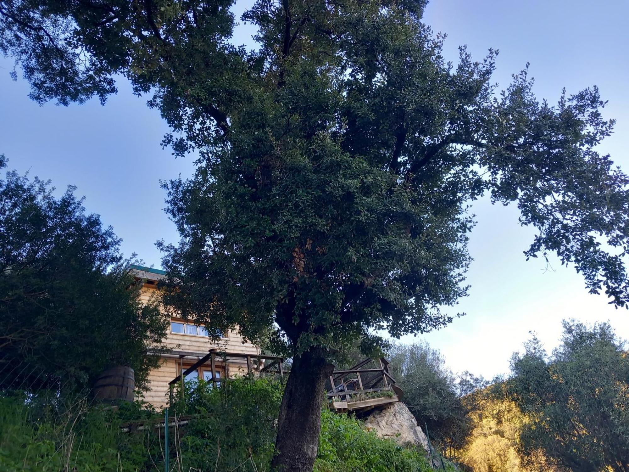 Villa A Croce Alata Exterior foto